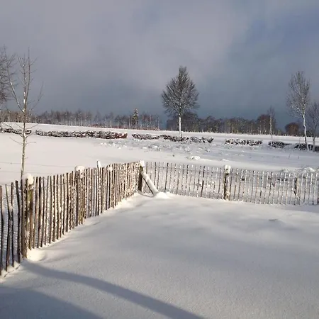 度假居 Cozy Hunting With Garden On The Eifelsteig *