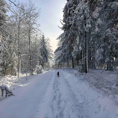 Cozy Hunting With Garden On The Eifelsteig *