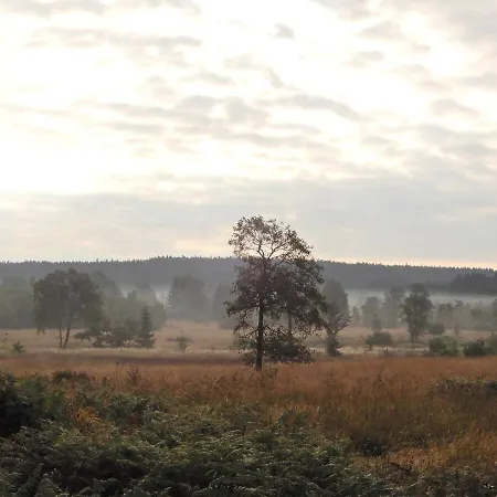 Cozy Hunting With Garden On The Eifelsteig 度假居 *